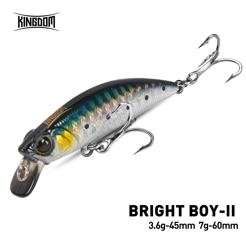 Kingdom Sinking Minnow Angelkö – Fishing Lure Crankbait Bewertung und Preis
